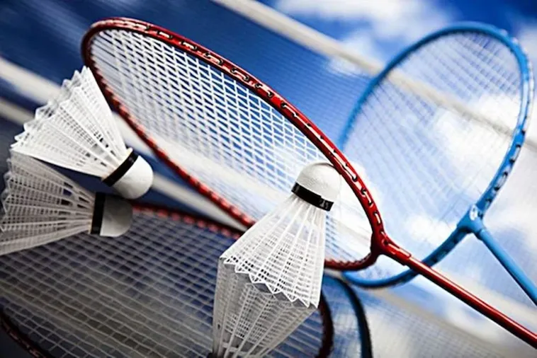 Chinh Phục Kèo Cược Cầu Lông W88 Với Chiến Thuật Bất Bại