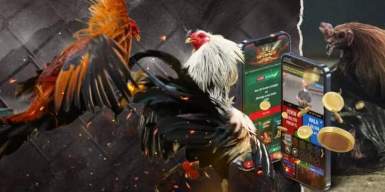 Trở Thành Chuyên Gia Đá Gà GA28 Tại W88 Với Vài Bước Đơn Giản 2 Trở Thành Chuyên Gia Đá Gà GA28 Tại W88 Với Vài Bước Đơn Giản