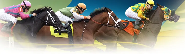 Làm Chủ Đường Đua Với Cá Cược Đua Ngựa W88 Nhận Thưởng Cực Lớn